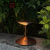 Narciso Table Lamp Built-in Battery