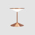 Narciso Table Lamp Built-in Battery