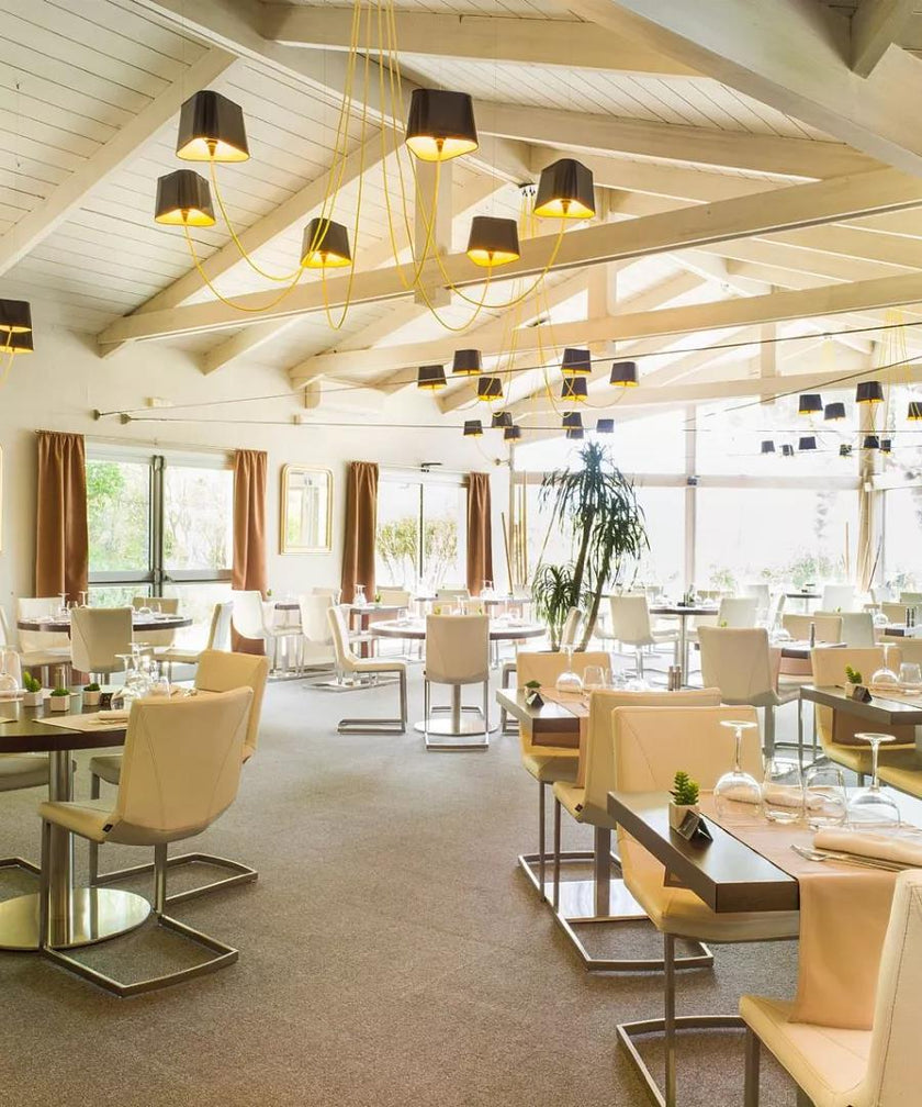 Decorative Elements Chandelier