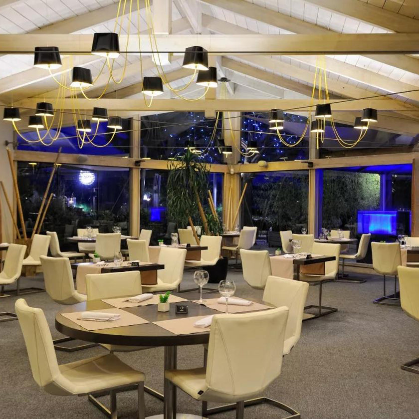 Decorative Elements Chandelier