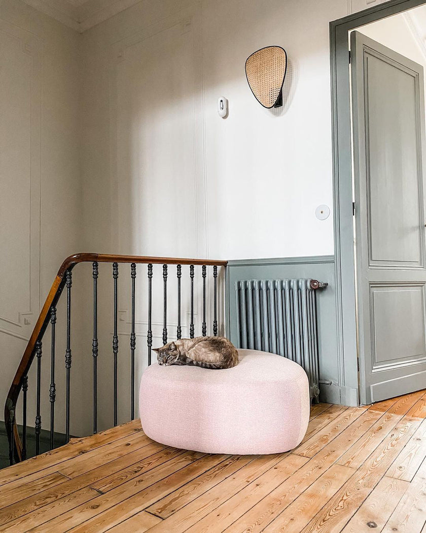 Applique Screen Cannage