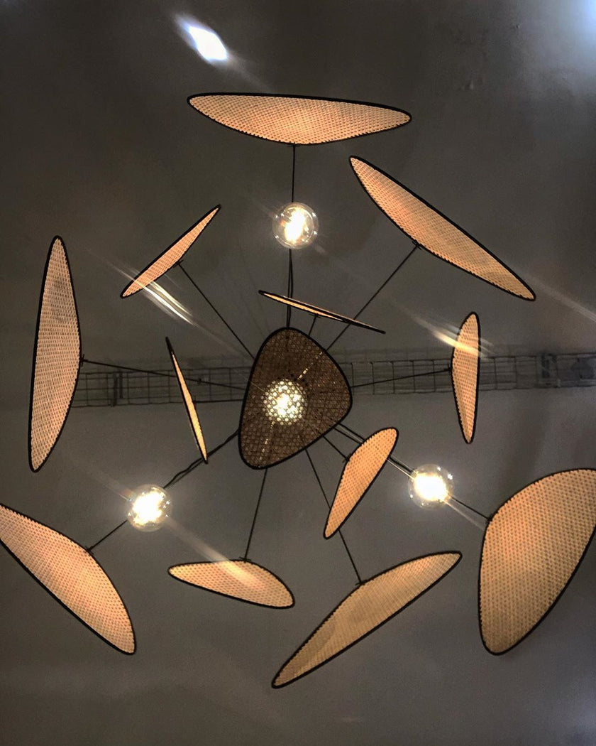 تعليق كاناج الشاشة