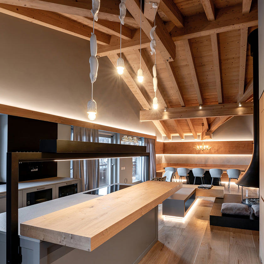 Squirrel Pendant Lamp