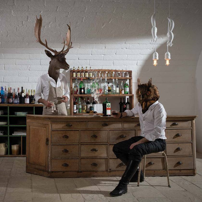 Squirrel Pendant Lamp