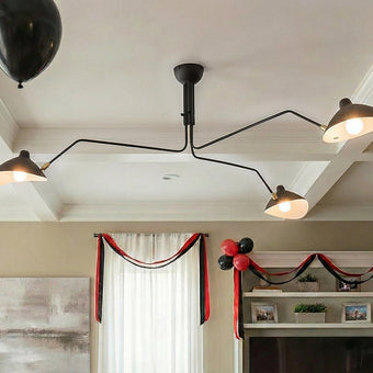 Precision Instruments at Home: A Story of Light, Angles, and Mechanical Balance