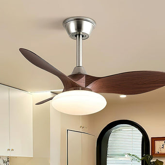 The Breeze & The Glow: Unveiling Our Latest Ceiling Fan Light Collection