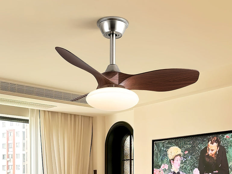 Ceiling Fan Light