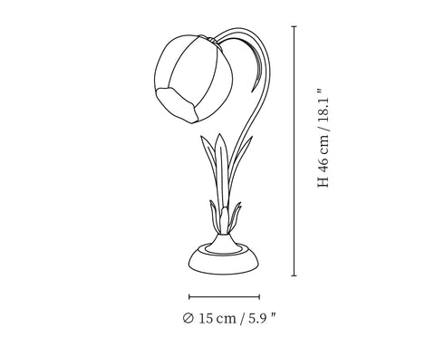 Model Size B : ∅ 5.9″ x H 18..1″ / Dia 15cm x H 46cm
