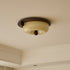 Alcott Ceiling Lamp