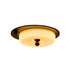 Alcott Ceiling Lamp