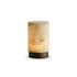 Aldren Alabaster Table Lamp