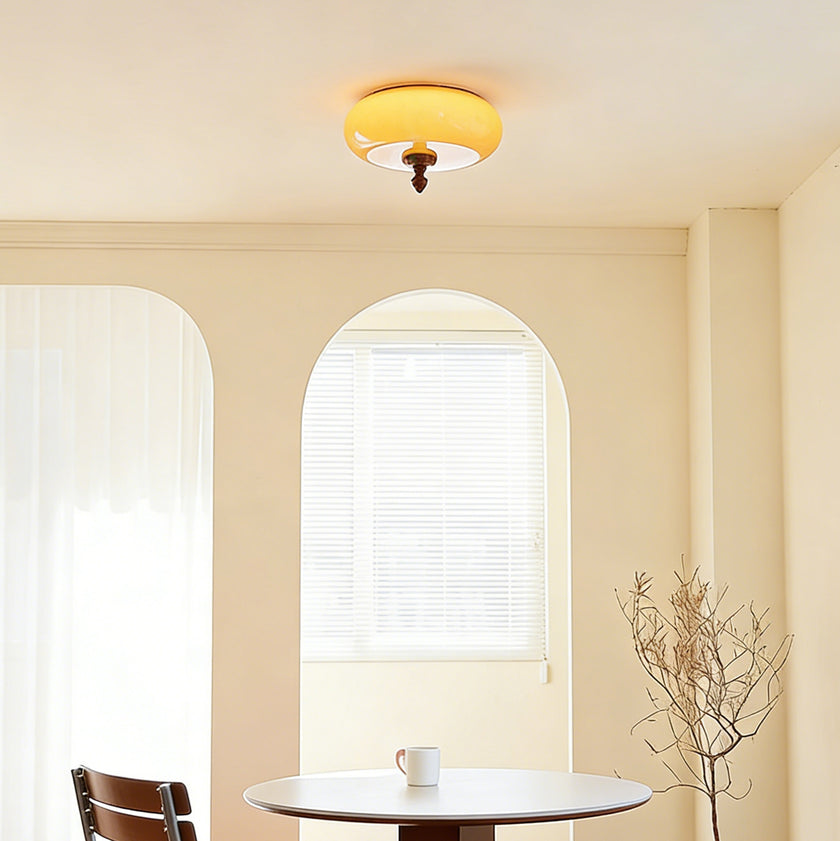 Algonac Ceiling Light