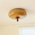 Algonac Ceiling Light