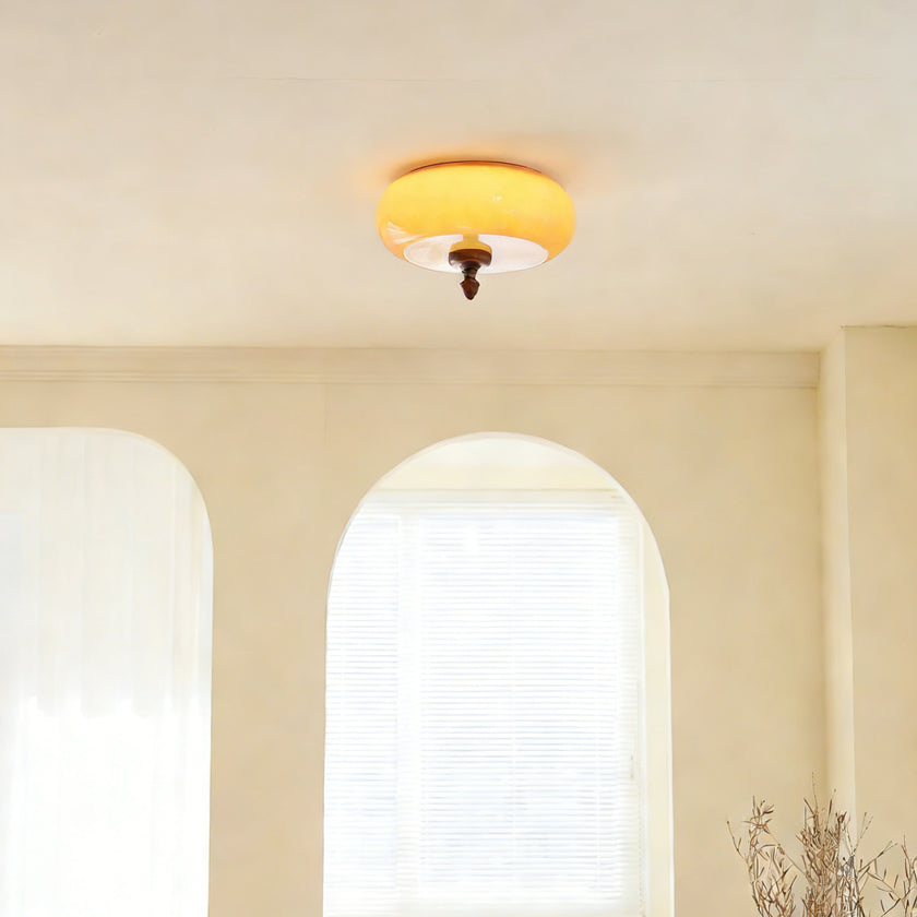 Algonac Ceiling Light