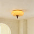 Algonac Ceiling Light