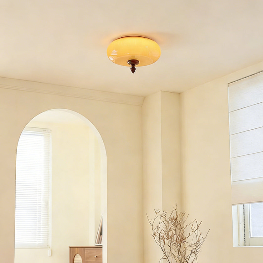 Algonac Ceiling Light