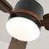 Alkafy Ceiling Fan Light