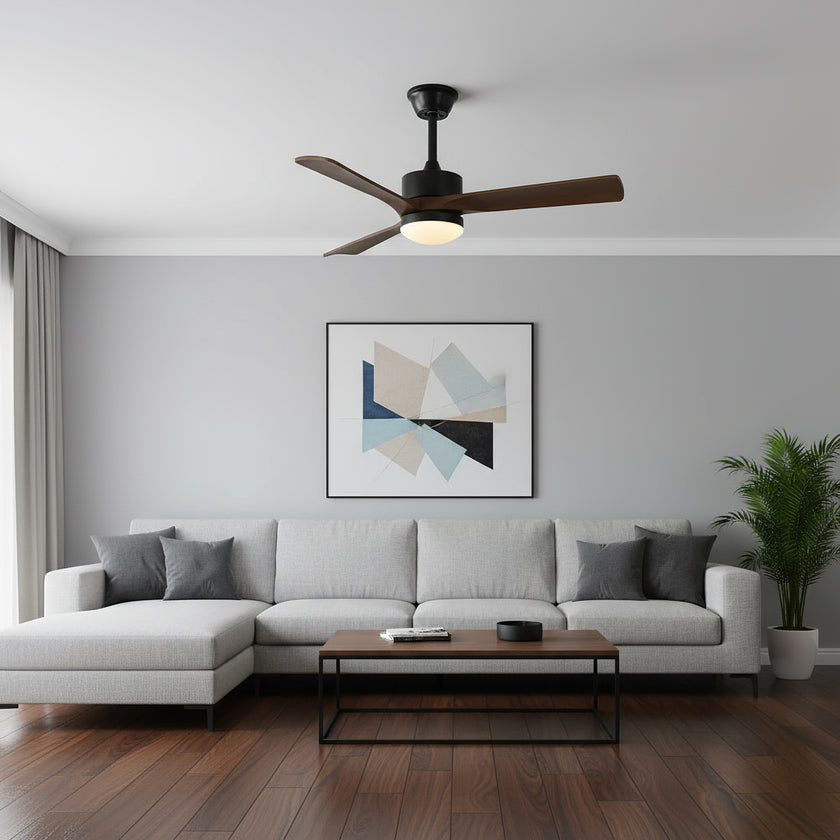 Alkafy Ceiling Fan Light