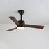 Alkafy Ceiling Fan Light