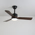 Alkafy Ceiling Fan Light