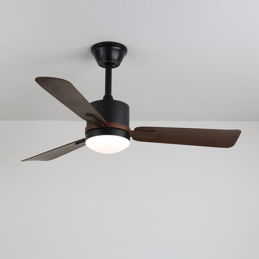 Alkafy Ceiling Fan Light