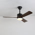 Alkafy Ceiling Fan Light