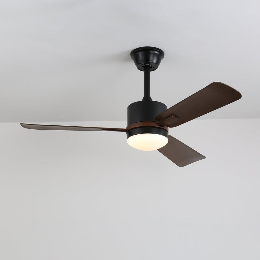 Alkafy Ceiling Fan Light