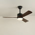 Alkafy Ceiling Fan Light