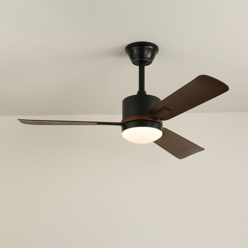 Alkafy Ceiling Fan Light