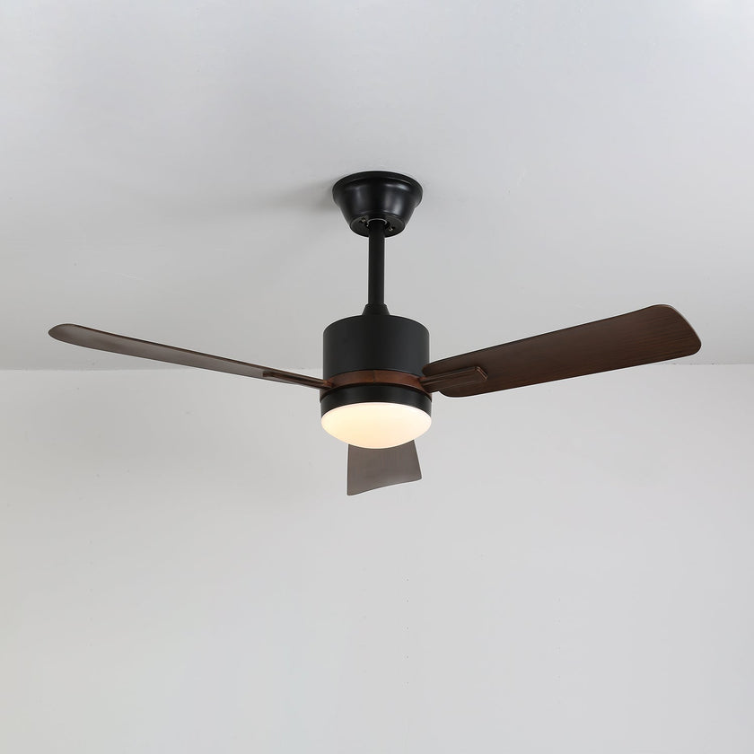 Alkafy Ceiling Fan Light