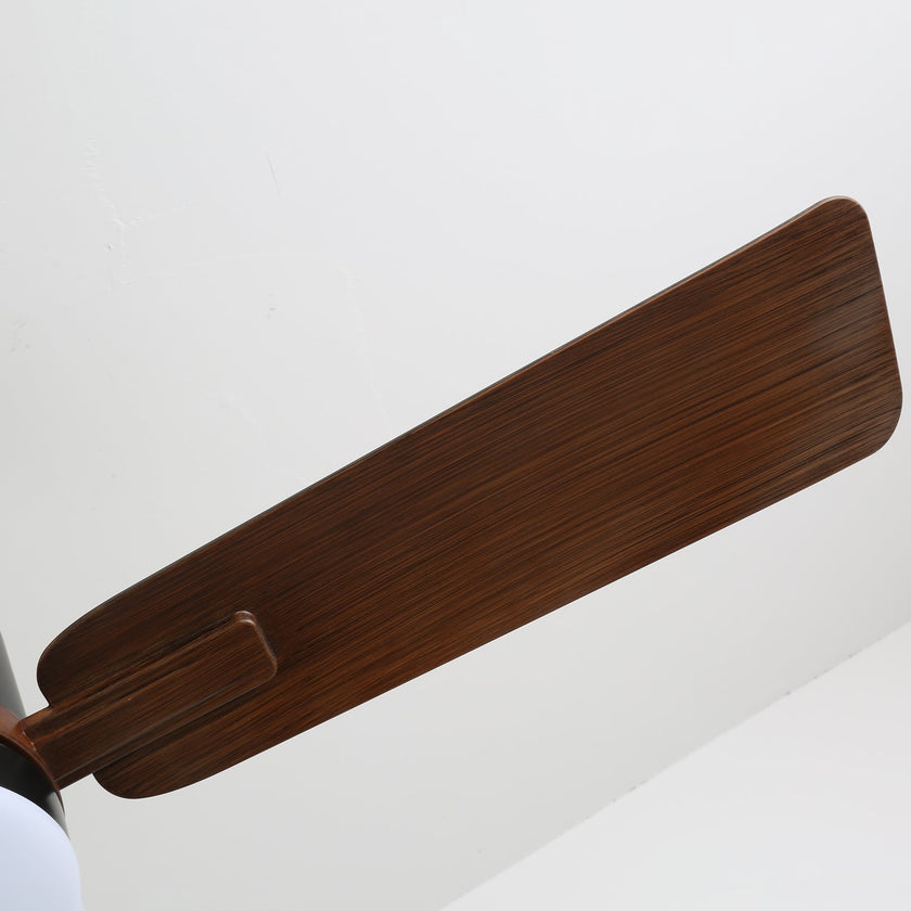 Alkafy Ceiling Fan Light