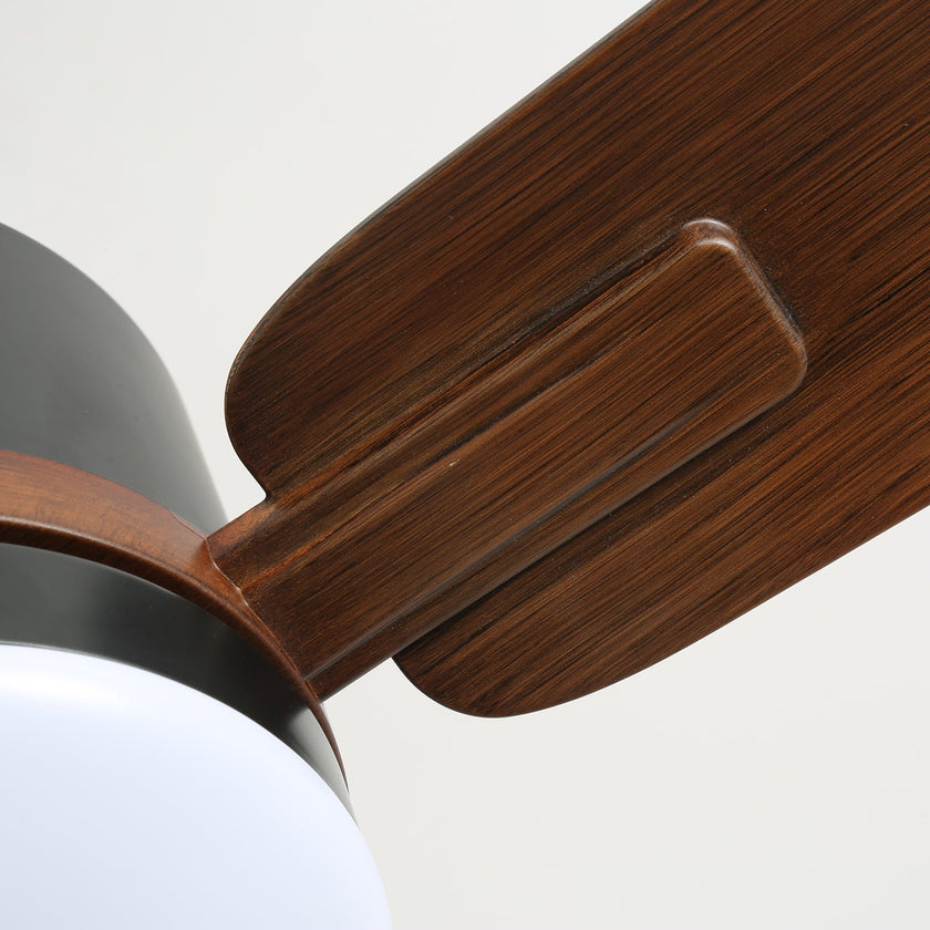 Alkafy Ceiling Fan Light