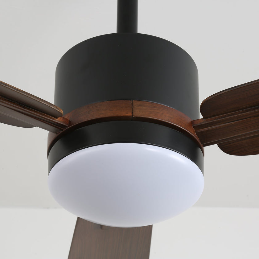 Alkafy Ceiling Fan Light