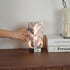 Amania Table Lamp