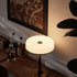 Apuila Table Lamp