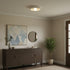 Arluma Resin Ceiling Light