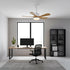 Artesia Ceiling Fan Light