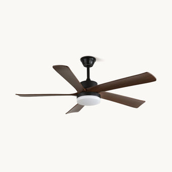 Auralin Ceiling Fan Light