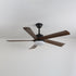 Auralin Ceiling Fan Light