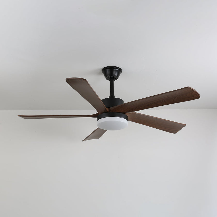 Auralin Ceiling Fan Light