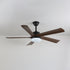 Auralin Ceiling Fan Light