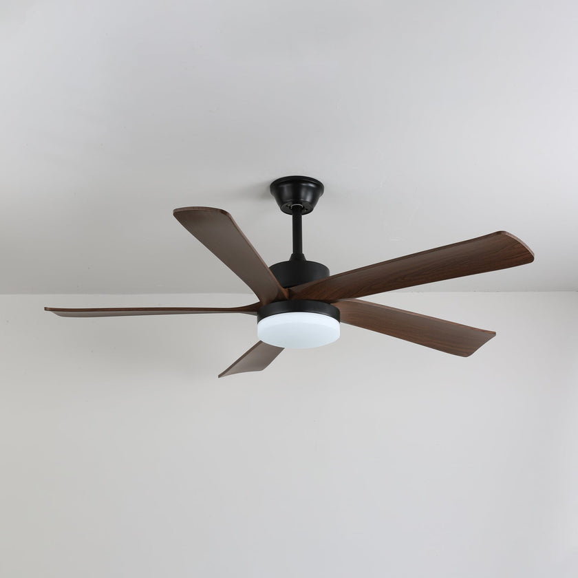 Auralin Ceiling Fan Light
