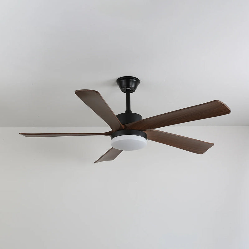 Auralin Ceiling Fan Light