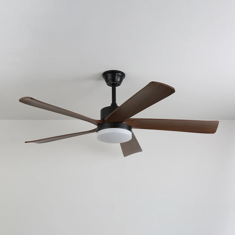 Auralin Ceiling Fan Light