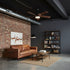Auralin Ceiling Fan Light