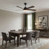 Auralin Ceiling Fan Light