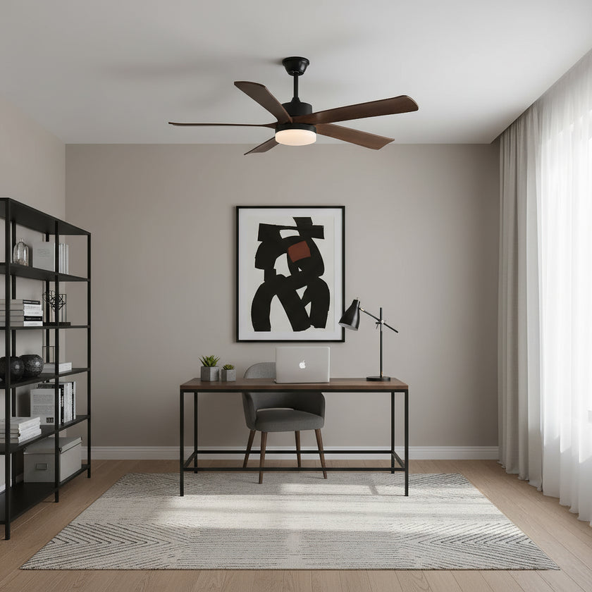 Auralin Ceiling Fan Light