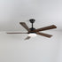 Auralin Ceiling Fan Light