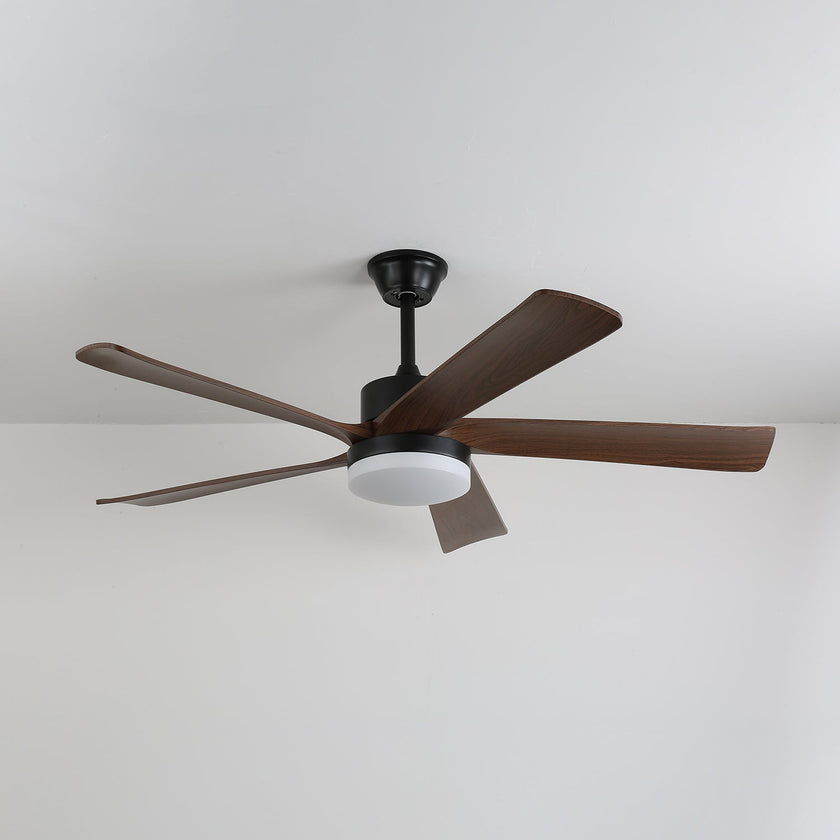 Auralin Ceiling Fan Light