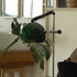 Austria Table Lamp